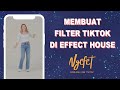 Tutorial Membuat Filter TikTok di Effect House | Download Aplikasi + Membuat Filter LUT + Upload