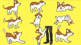 Explicación del lenguaje corporal de los perros