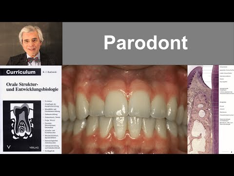 10 Periodontist
