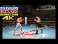 Dolphin 5 0 Victorious Boxers Revolution 4k 60fps Uhd W