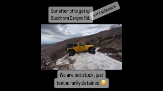 We were Temporarily Detained!!  Buckhorn RD. Montrose, CO