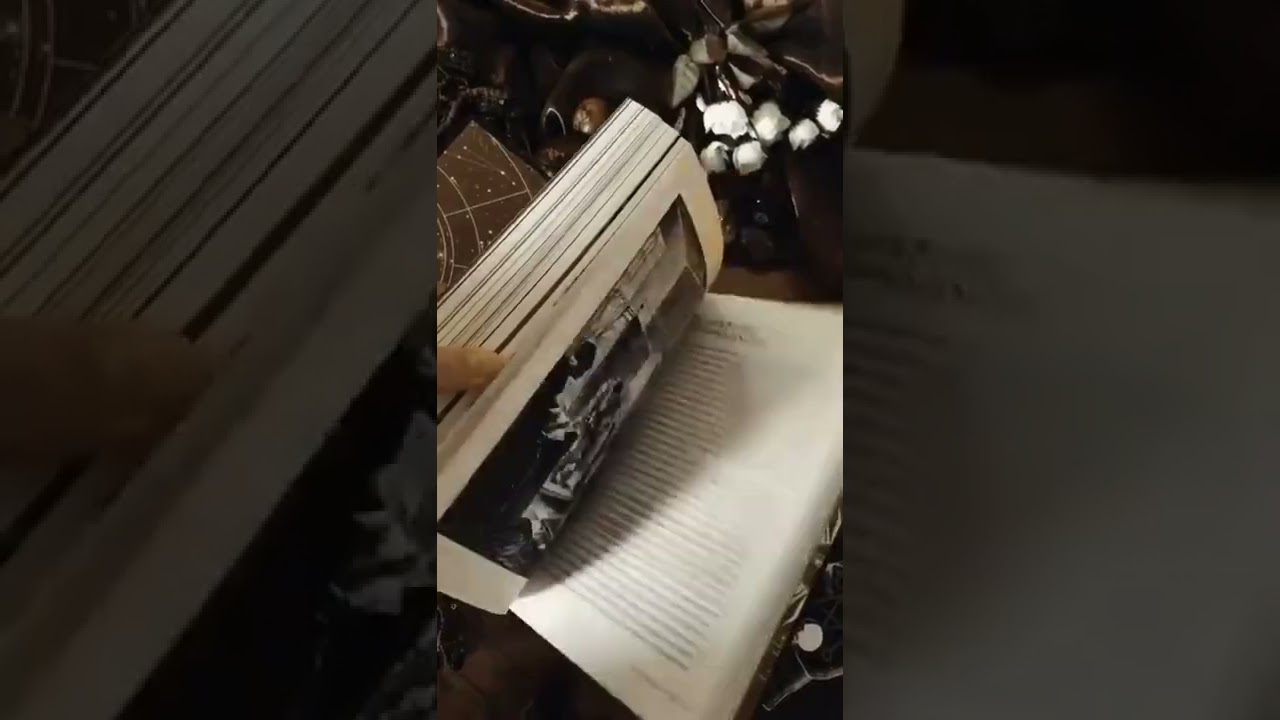 Grimório das Bruxas (Moon Edition)