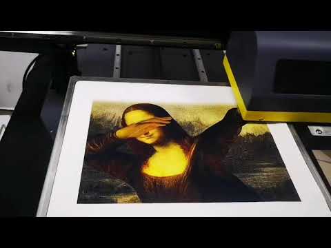 Imprimanta DTG A3+, Vega-Jet, 2 capete Epson XP600, 330 x 480 mm