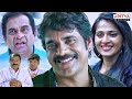 Ragada Hindi Dubbed Movie Scenes Nagarjuna Anushka Brahmanandam Priyamani Aditya Movies