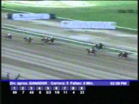 Resumen Sabado, 21 de Enero de 2012 - La Rinconada