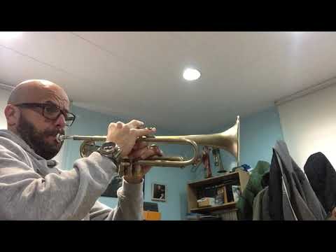 Escuchar, leer y tocar vol.1, Mary Ann (track 64)- trompeta