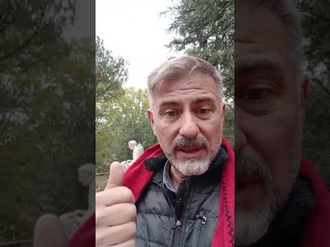 Evangelio del Nuestro Señor Jesucristo Con el Padre Fabian Esteban Oliva. Segunda parte 23/04/26