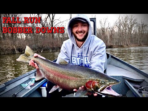 Spring Steelhead Float Fishing - Bobber Downs!