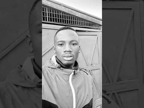 dandy crazy ninkondo