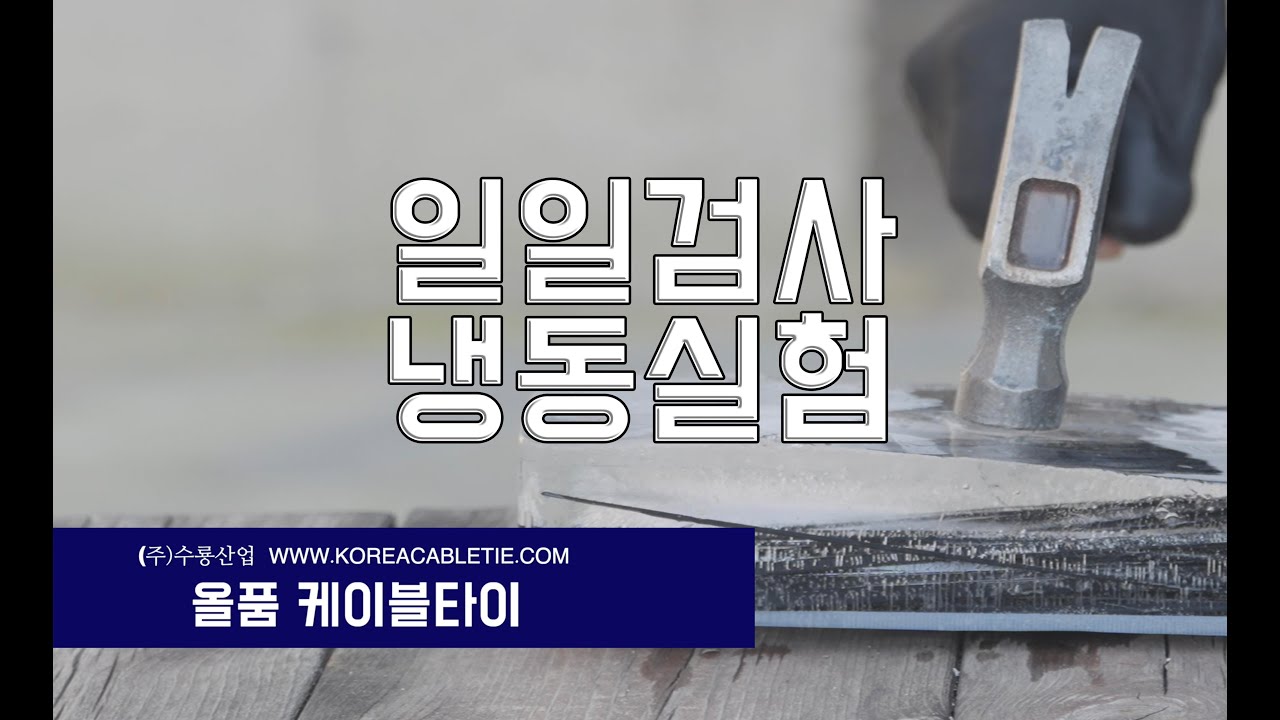 일일검사 03 - 냉동실험