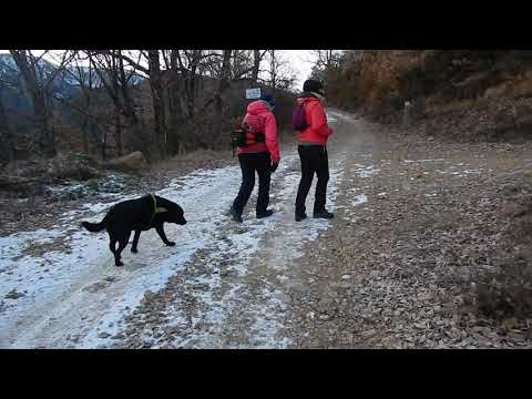 Excursió al Turó Galliner