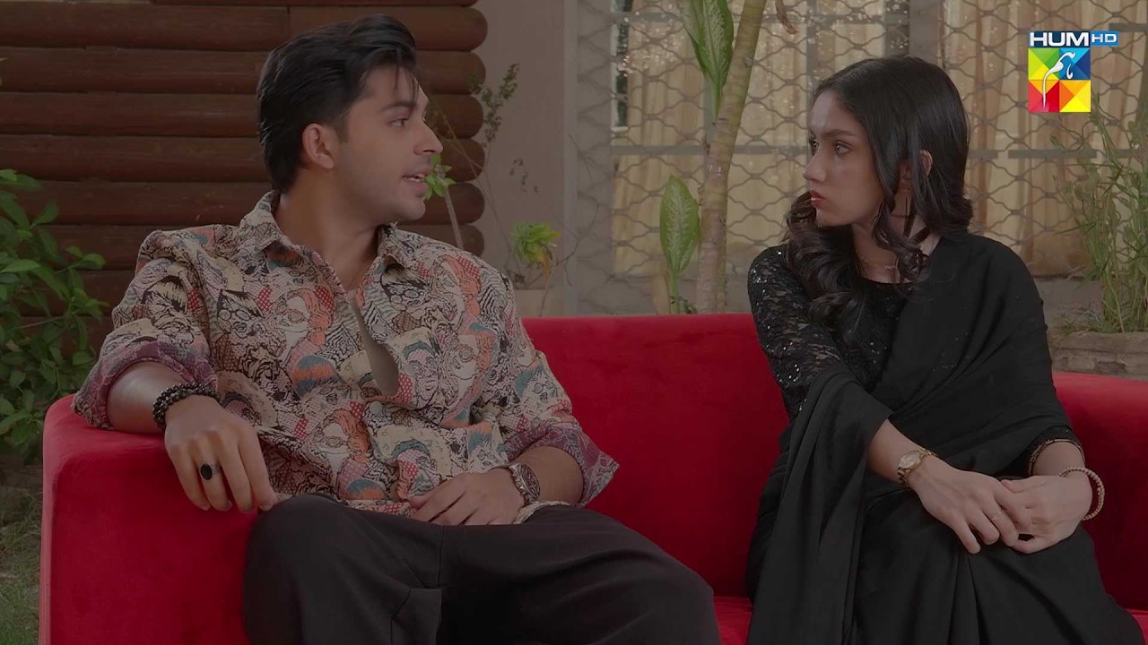 Saarhi Pehan Kar Toh Tum Aunty Lagti Ho..!! #ainaasif #tumlarkaybhina - HUM TV