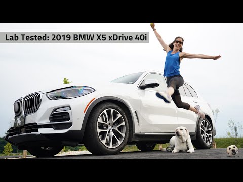2019 BMW X5 xDrive 40i: Andie the Lab Review!