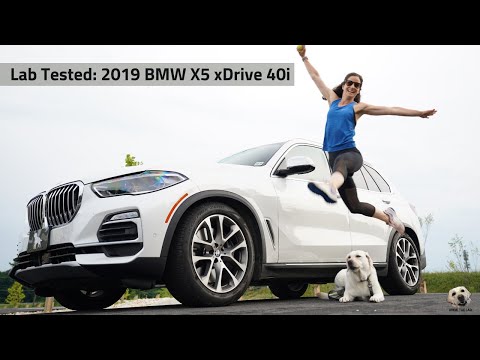 2019 BMW X5 xDrive 40i: Andie the Lab Review! Video