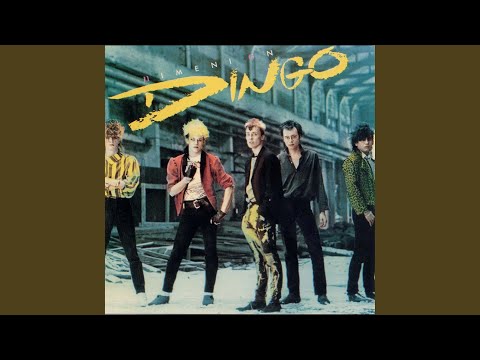 Aino - Dingo