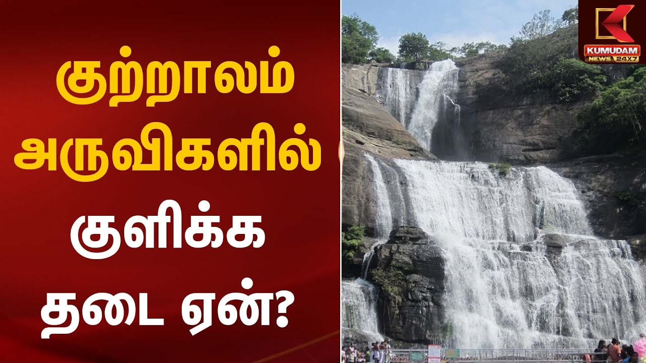 குற்றாலம் அருவிகளில் குளிக்க தடை ஏன்? | Thenkasi Waterfalls | Bathing Ban | Kumudam News