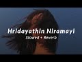 Hridayathin Niramayi Slowed Reverb 100 Days Of Love