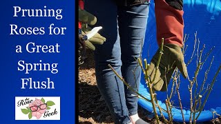 🌹 Pruning & Shaping Roses for a Great Spring Flush | Dormant Spray & Cane Sealer