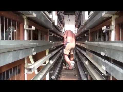 Radeburg 2017. 06. 10.