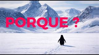 O Pinguim que Ninguém Entendeu