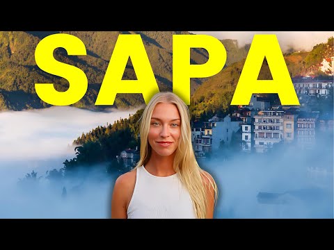 , title : 'Is this REALLY the best place to visit in VIETNAM? (Sapa Travel Vlog)'