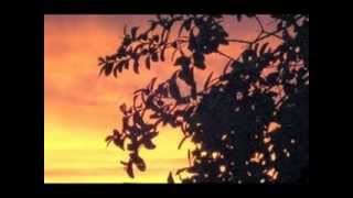 Gayana   Caetano Veloso