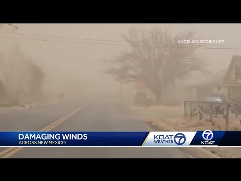Dust storm causes damage in New Mexico