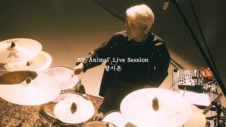 쏜애플(THORNAPPLE) -'할시온' (EP 'Animal' Live Session)