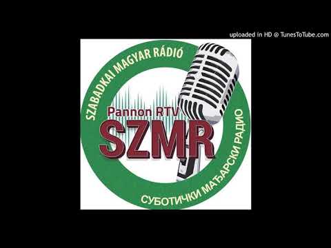 Ma 171 éve győzött Pesten a forradalom