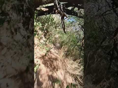 20 de diciembre de 2025