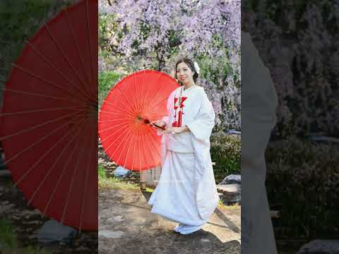 agrandissement-maison-cube-conteneur-cuisine-salle-manger