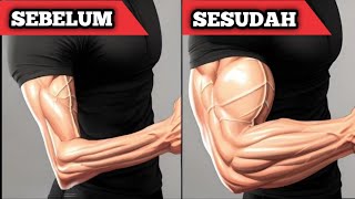 Download lagu Quick Way to Build Upper & Lower Arm Muscles, Muscular Arms Make Girls Cling To You! mp3