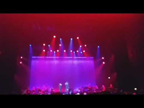 Elisa e Francesco De Gregori - Falling In Love With You