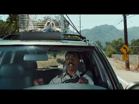 Dr. Dolittle - Meerschwein auf dem Dach