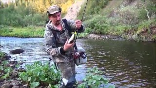 Как ловить морскую кумжу в озере