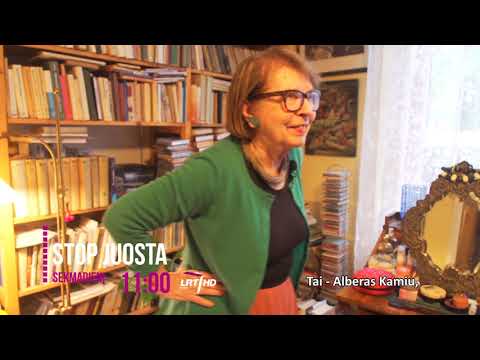 Maršrutas nr. 100 - Lenkija. Krokuva II dalis / ANONSAS