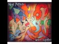 Meat Puppets - Sewn Together