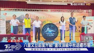 最強甜柚王出爐!冠軍柚週末亮相