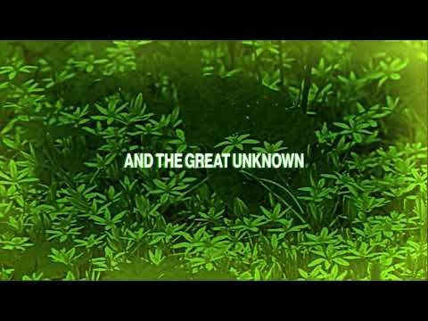 Judah & the Lion - Sweet Surrender