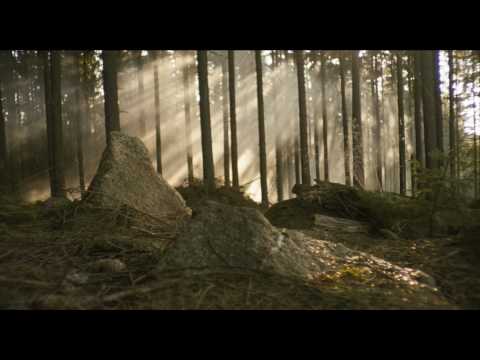 Kuky se vrací - Teaser