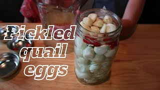 How To Make Pickled Quail Eggs | The Easiest Way To Pickled Quail Eggs Recipe