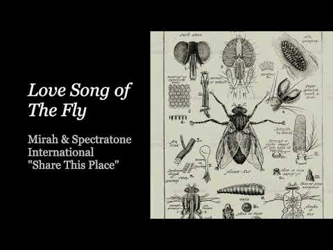 Love Song of The Fly - Mirah & Spectratone International (Lyrics)