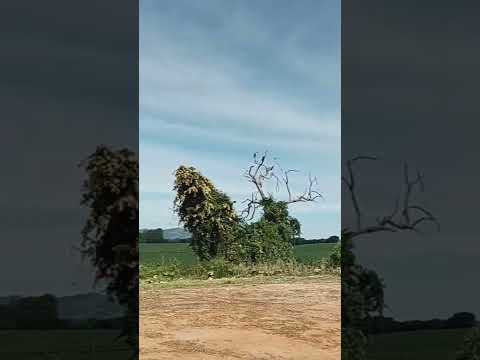 Conceição do Rio Verde - Minas gerais