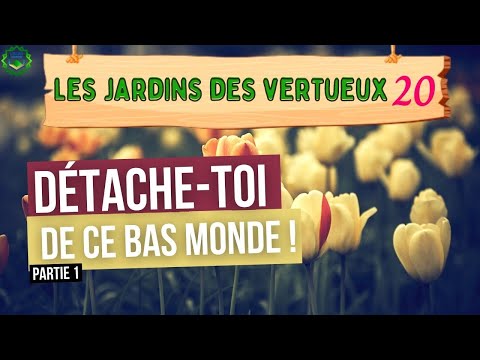 20/ Se détacher du bas monde (1/3)
