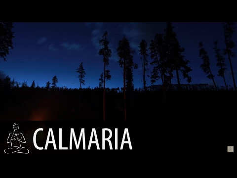 🎧 NIGHT FOREST WITH CAMPFIRE ~ Crickets, Wind, Fire ~ 2 hours of sound ~ Relax, Sleep ~ ♫038