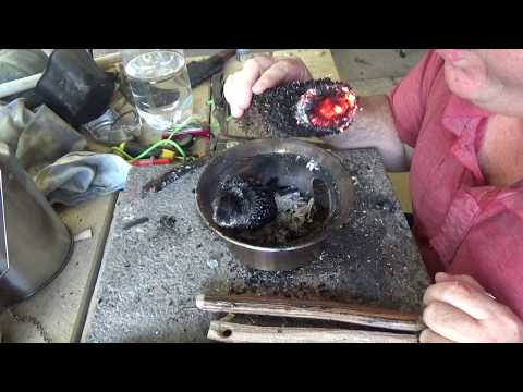 Transporting Fire with a grass tree flower spear