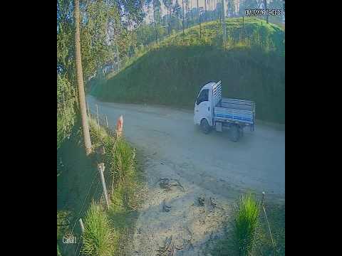 Homem mostra genital no meio de bairro em  Almirante Tamandaré