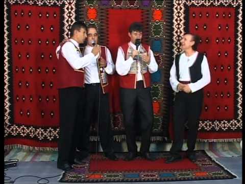 Srpska Tromedja - Krajiski miks - LIVE - (Dobro vece rodni kraju) - (Tv Duga Plus 2010)