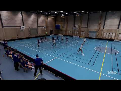 Luleå SK Damjun - IBF Dalen/IBS Dalen