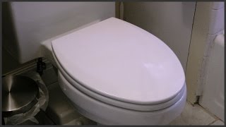 Elongated Toilet Seat Replacement